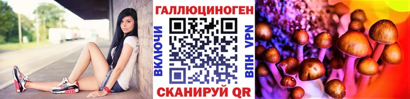МЕГА зеркало  магазин    мориарти какой сайт  Псилоцибиновые грибы Magic Shrooms  Невель 